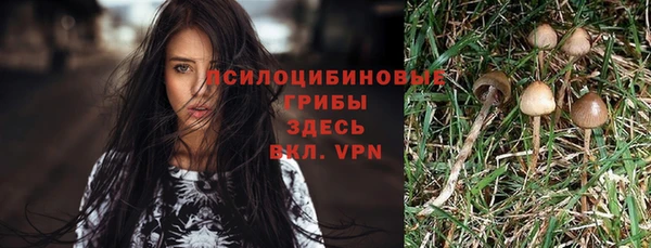круглые Армянск