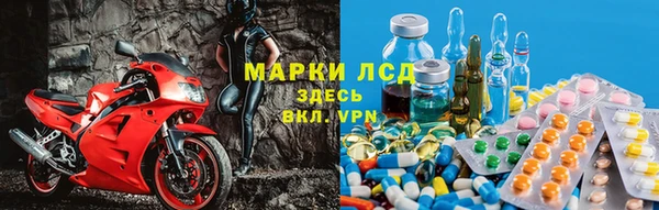 спиды Аркадак