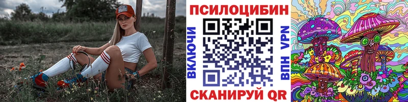 купить закладку  OMG tor  Псилоцибиновые грибы мицелий  Свободный 